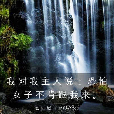 Picture 03 - 创 世 纪 24:39 CUVS - 我 对 我 主 人 说 ： 恐 怕 女 子 不 - Bible Verse Picture