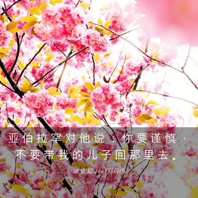 Picture 03 - 创 世 纪 24:6 CUVS - 亚 伯 拉 罕 对 他 说 ： 你 要 谨 慎 - Bible Verse Picture