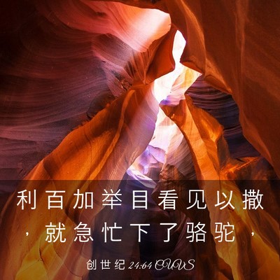 Picture 03 - 创 世 纪 24:64 CUVS - 利 百 加 举 目 看 见 以 撒 ， 就 急 - Bible Verse Picture