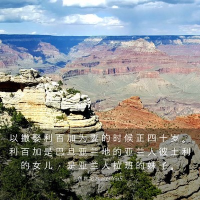 Picture 03 - 创 世 纪 25:20 CUVS - 以 撒 娶 利 百 加 为 妻 的 时 候 正 - Bible Verse Picture