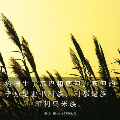 Picture 03 - 创 世 纪 25:3 CUVS - 约 珊 生 了 示 巴 和 底 但 。 底 但 - Bible Verse Picture