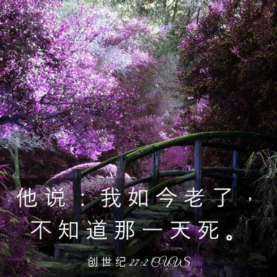 Picture 03 - 创 世 纪 27:2 CUVS - 他 说 ： 我 如 今 老 了 ， 不 知 道 - Bible Verse Picture