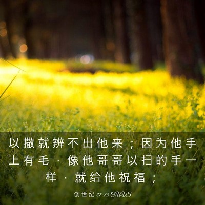 Picture 03 - 创 世 纪 27:23 CUVS - 以 撒 就 辨 不 出 他 来 ； 因 为 他 - Bible Verse Picture