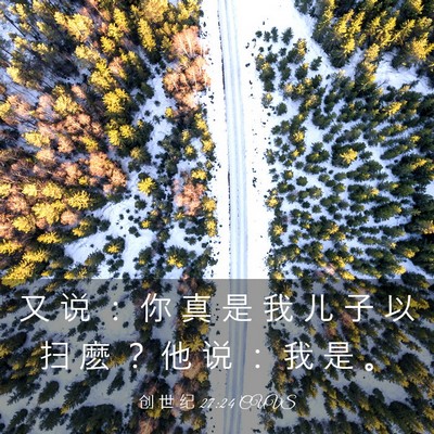 Picture 03 - 创 世 纪 27:24 CUVS - 又 说 ： 你 真 是 我 儿 子 以 扫 麽 - Bible Verse Picture
