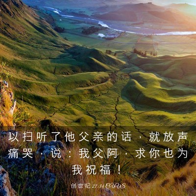 Picture 03 - 创 世 纪 27:34 CUVS - 以 扫 听 了 他 父 亲 的 话 ， 就 放 - Bible Verse Picture