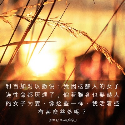 Picture 03 - 创 世 纪 27:46 CUVS - 利 百 加 对 以 撒 说 ： 我 因 这 赫 - Bible Verse Picture