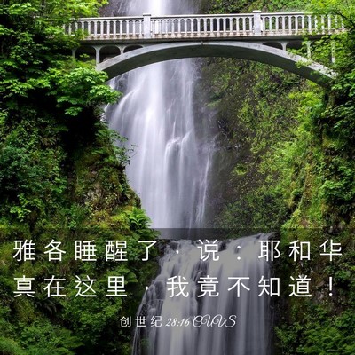 Picture 03 - 创 世 纪 28:16 CUVS - 雅 各 睡 醒 了 ， 说 ： 耶 和 华 真 - Bible Verse Picture