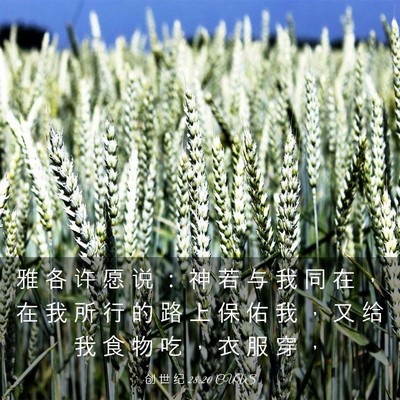 Picture 03 - 创 世 纪 28:20 CUVS - 雅 各 许 愿 说 ： 神 若 与 我 同 在 - Bible Verse Picture