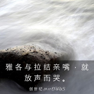 Picture 03 - 创 世 纪 29:11 CUVS - 雅 各 与 拉 结 亲 嘴 ， 就 放 声 而 - Bible Verse Picture
