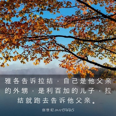 Picture 03 - 创 世 纪 29:12 CUVS - 雅 各 告 诉 拉 结 ， 自 己 是 他 父 - Bible Verse Picture