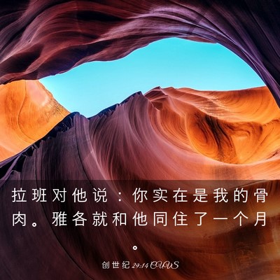 Picture 03 - 创 世 纪 29:14 CUVS - 拉 班 对 他 说 ： 你 实 在 是 我 的 - Bible Verse Picture