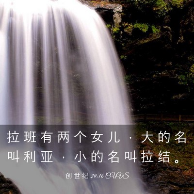 Picture 03 - 创 世 纪 29:16 CUVS - 拉 班 有 两 个 女 儿 ， 大 的 名 叫 - Bible Verse Picture