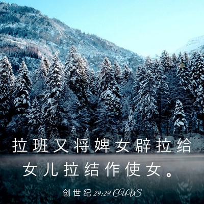 Picture 03 - 创 世 纪 29:29 CUVS - 拉 班 又 将 婢 女 辟 拉 给 女 儿 拉 - Bible Verse Picture