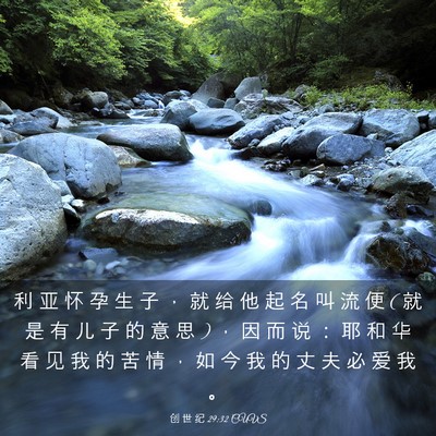 Picture 03 - 创 世 纪 29:32 CUVS - 利 亚 怀 孕 生 子 ， 就 给 他 起 名 - Bible Verse Picture