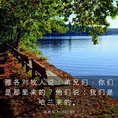 Picture 03 - 创 世 纪 29:4 CUVS - 雅 各 对 牧 人 说 ： 弟 兄 们 ， 你 - Bible Verse Picture