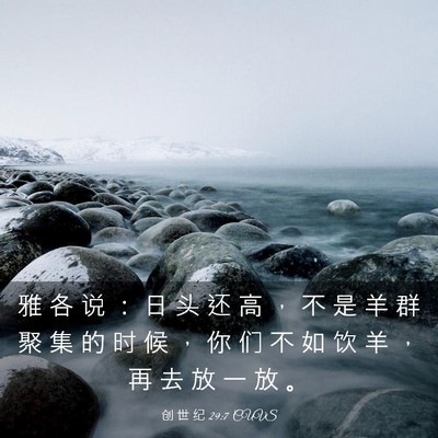 Picture 03 - 创 世 纪 29:7 CUVS - 雅 各 说 ： 日 头 还 高 ， 不 是 羊 - Bible Verse Picture