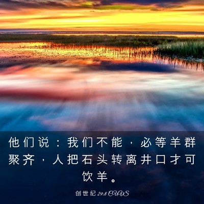 Picture 03 - 创 世 纪 29:8 CUVS - 他 们 说 ： 我 们 不 能 ， 必 等 羊 - Bible Verse Picture