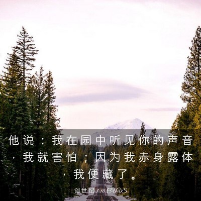 Picture 03 - 创 世 纪 3:10 CUVS - 他 说 ： 我 在 园 中 听 见 你 的 声 - Bible Verse Picture