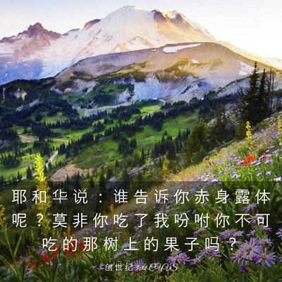 Picture 03 - 创 世 纪 3:11 CUVS - 耶 和 华 说 ： 谁 告 诉 你 赤 身 露 - Bible Verse Picture
