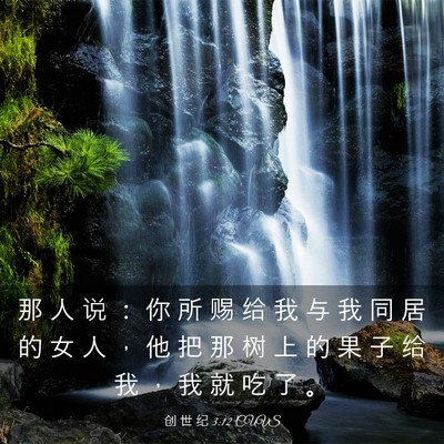 Picture 03 - 创 世 纪 3:12 CUVS - 那 人 说 ： 你 所 赐 给 我 与 我 同 - Bible Verse Picture