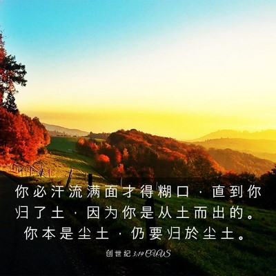 Picture 03 - 创 世 纪 3:19 CUVS - 你 必 汗 流 满 面 才 得 糊 口 ， 直 - Bible Verse Picture