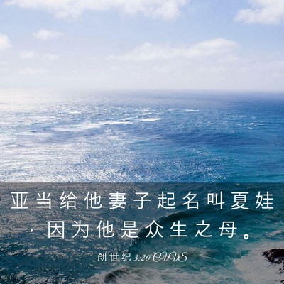 Picture 03 - 创 世 纪 3:20 CUVS - 亚 当 给 他 妻 子 起 名 叫 夏 娃 ， - Bible Verse Picture