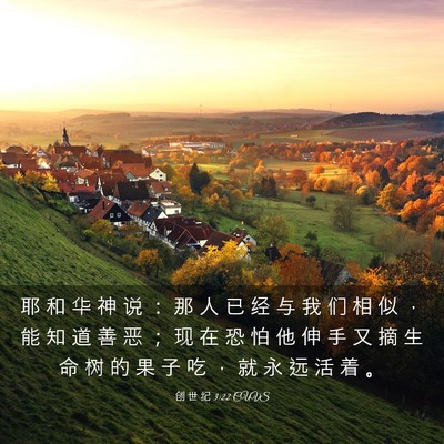 Picture 03 - 创 世 纪 3:22 CUVS - 耶 和 华 神 说 ： 那 人 已 经 与 我 - Bible Verse Picture