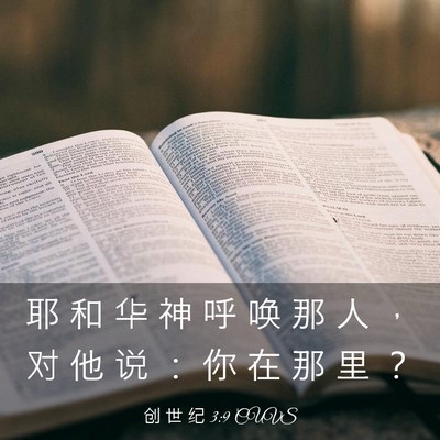 Picture 03 - 创 世 纪 3:9 CUVS - 耶 和 华 神 呼 唤 那 人 ， 对 他 说 - Bible Verse Picture