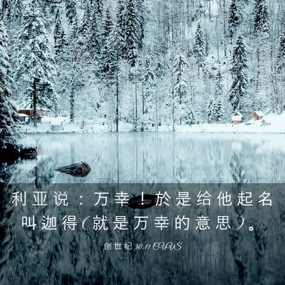 Picture 03 - 创 世 纪 30:11 CUVS - 利 亚 说 ： 万 幸 ！ 於 是 给 他 起 - Bible Verse Picture
