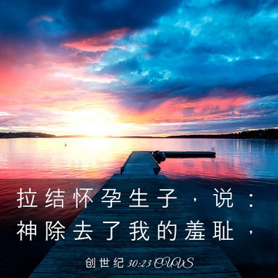 Picture 03 - 创 世 纪 30:23 CUVS - 拉 结 怀 孕 生 子 ， 说 ： 神 除 去 - Bible Verse Picture