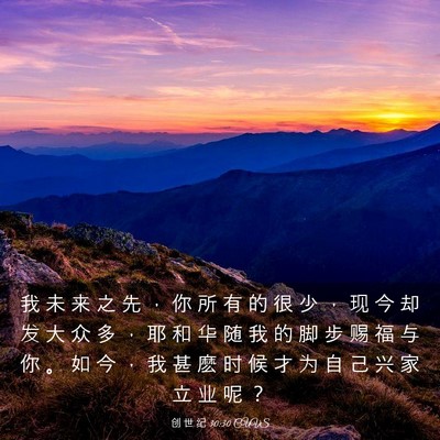 Picture 03 - 创 世 纪 30:30 CUVS - 我 未 来 之 先 ， 你 所 有 的 很 少 - Bible Verse Picture