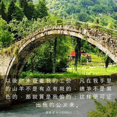 Picture 03 - 创 世 纪 30:33 CUVS - 以 後 你 来 查 看 我 的 工 价 ， 凡 - Bible Verse Picture