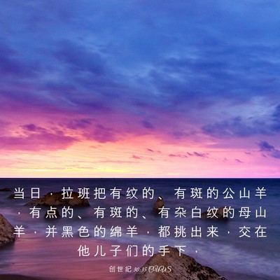 Picture 03 - 创 世 纪 30:35 CUVS - 当 日 ， 拉 班 把 有 纹 的 、 有 斑 - Bible Verse Picture