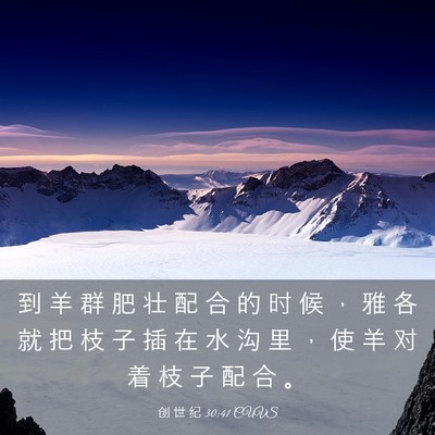 Picture 03 - 创 世 纪 30:41 CUVS - 到 羊 群 肥 壮 配 合 的 时 候 ， 雅 - Bible Verse Picture