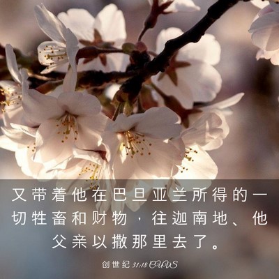 Picture 03 - 创 世 纪 31:18 CUVS - 又 带 着 他 在 巴 旦 亚 兰 所 得 的 - Bible Verse Picture