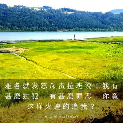 Picture 03 - 创 世 纪 31:36 CUVS - 雅 各 就 发 怒 斥 责 拉 班 说 ： 我 - Bible Verse Picture