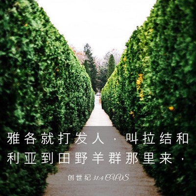 Picture 03 - 创 世 纪 31:4 CUVS - 雅 各 就 打 发 人 ， 叫 拉 结 和 利 - Bible Verse Picture