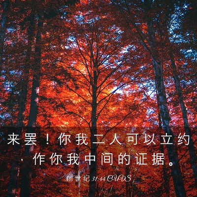 Picture 03 - 创 世 纪 31:44 CUVS - 来 罢 ！ 你 我 二 人 可 以 立 约 ， - Bible Verse Picture