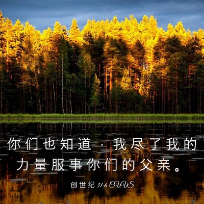 Picture 03 - 创 世 纪 31:6 CUVS - 你 们 也 知 道 ， 我 尽 了 我 的 力 - Bible Verse Picture