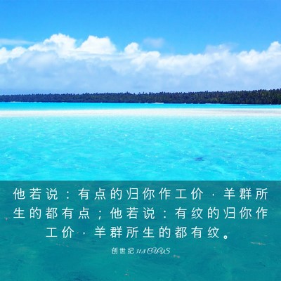 Picture 03 - 创 世 纪 31:8 CUVS - 他 若 说 ： 有 点 的 归 你 作 工 价 - Bible Verse Picture