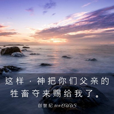 Picture 03 - 创 世 纪 31:9 CUVS - 这 样 ， 神 把 你 们 父 亲 的 牲 畜 - Bible Verse Picture