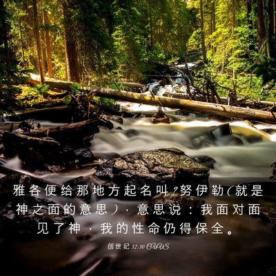 Picture 03 - 创 世 纪 32:30 CUVS - 雅 各 便 给 那 地 方 起 名 叫 ? 努 伊 - Bible Verse Picture