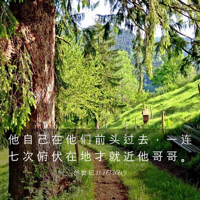 Picture 03 - 创 世 纪 33:3 CUVS - 他 自 己 在 他 们 前 头 过 去 ， 一 - Bible Verse Picture