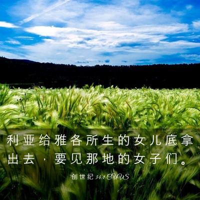 Picture 03 - 创 世 纪 34:1 CUVS - 利 亚 给 雅 各 所 生 的 女 儿 底 拿 - Bible Verse Picture