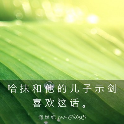 Picture 03 - 创 世 纪 34:18 CUVS - 哈 抹 和 他 的 儿 子 示 剑 喜 欢 这 - Bible Verse Picture