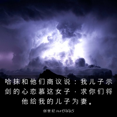 Picture 03 - 创 世 纪 34:8 CUVS - 哈 抹 和 他 们 商 议 说 ： 我 儿 子 - Bible Verse Picture