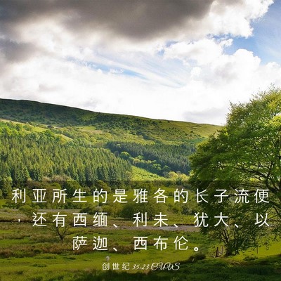 Picture 03 - 创 世 纪 35:23 CUVS - 利 亚 所 生 的 是 雅 各 的 长 子 流 - Bible Verse Picture