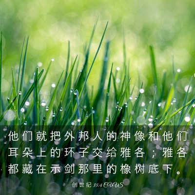 Picture 03 - 创 世 纪 35:4 CUVS - 他 们 就 把 外 邦 人 的 神 像 和 他 - Bible Verse Picture