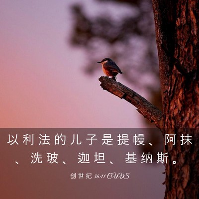 Picture 03 - 创 世 纪 36:11 CUVS - 以 利 法 的 儿 子 是 提 幔 、 阿 抹 - Bible Verse Picture