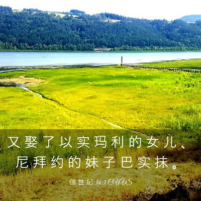 Picture 03 - 创 世 纪 36:3 CUVS - 又 娶 了 以 实 玛 利 的 女 儿 、 尼 - Bible Verse Picture